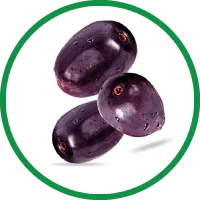 jamun